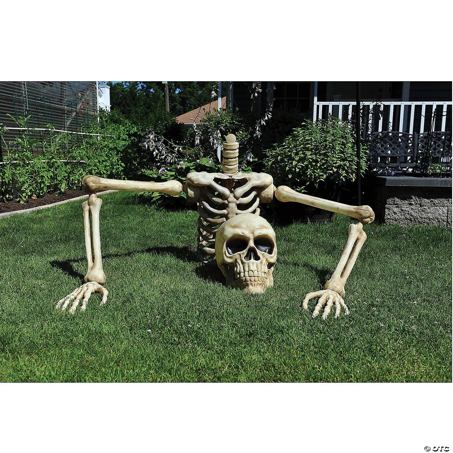 4 Ft. Posable Skeleton Halloween Decoration