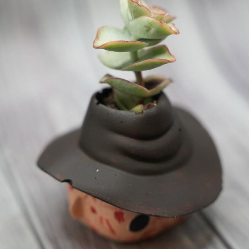 👻Funny Horror Halloween Succulents Potted Plants👻