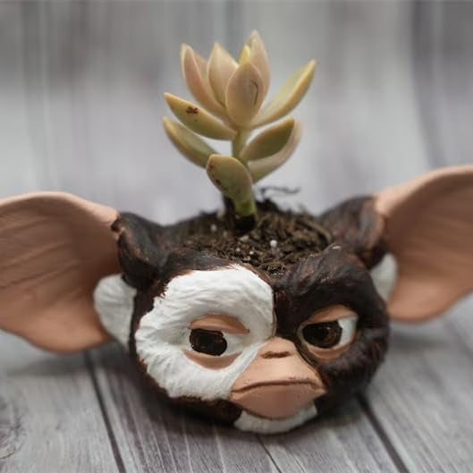 👻Funny Horror Halloween Succulents Potted Plants👻