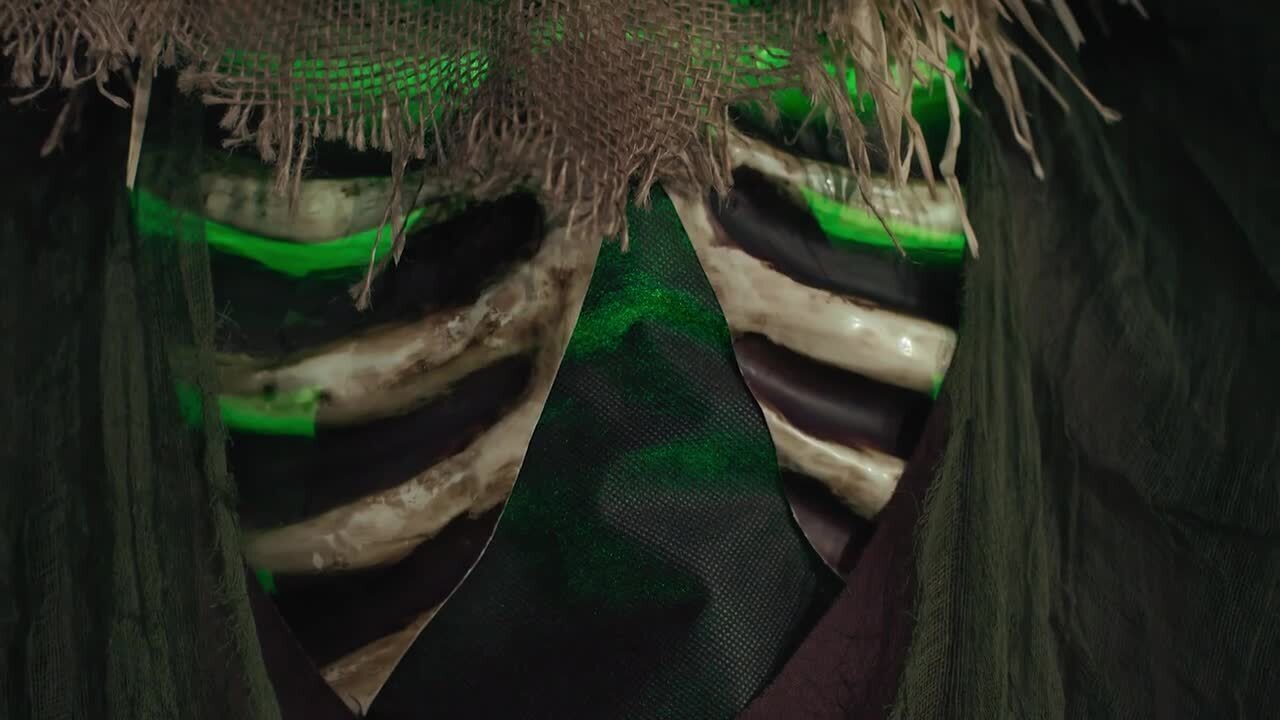 Animated Swamp Scarecrow