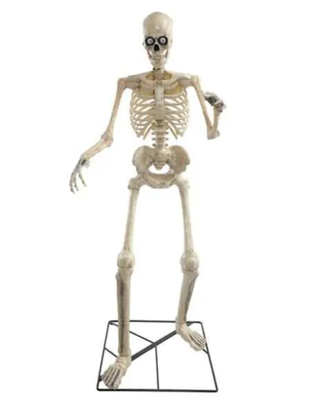 πβ¨12 ft. Giant-Sized Skeleton with LifeEyes