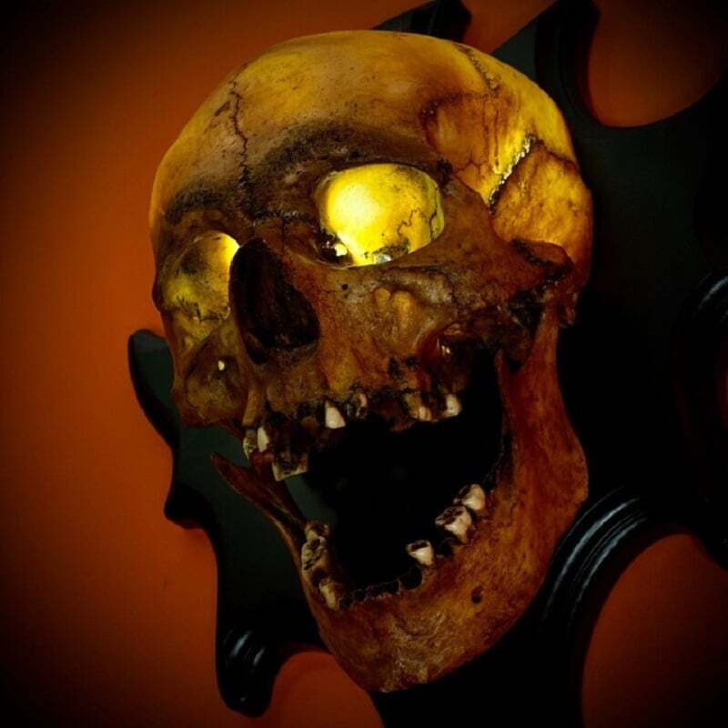 💀Skull lamp“Singing head”night light