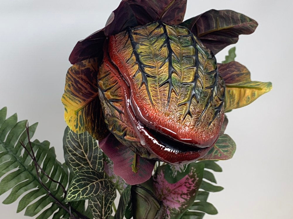 🎍Audrey plant from Little Shop of Horrors🎍