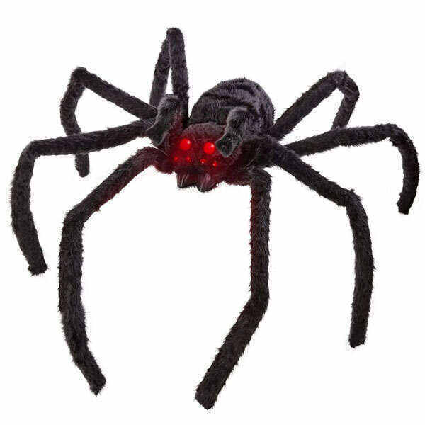 Poisonous spiders Animated