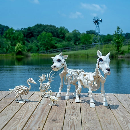 New! Red Shed Halloween Cow Skeleton