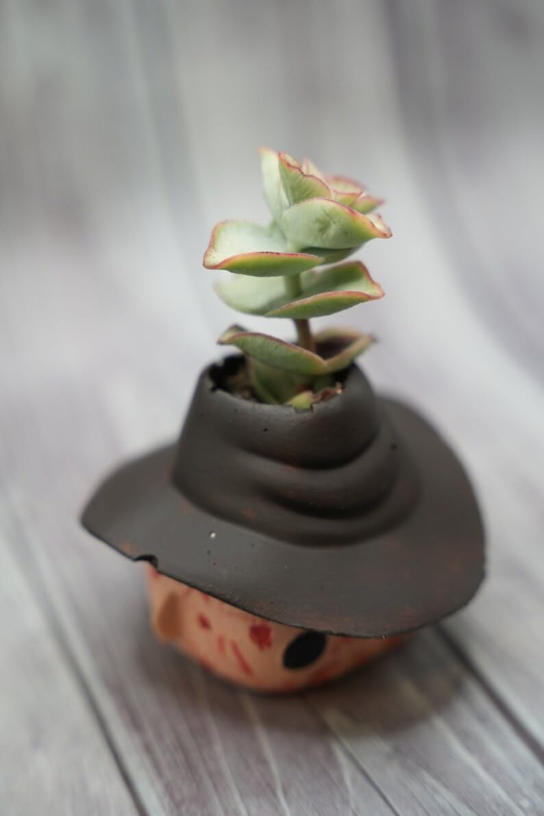 👻Funny Horror Halloween Succulents Potted Plants👻