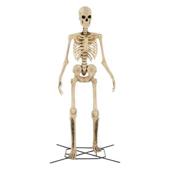Giant-Sized Skeleton with LifeEyes LCD Eyes