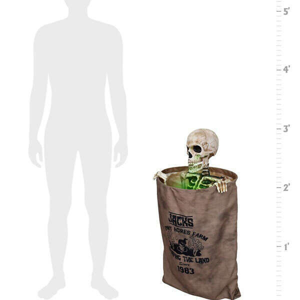 Bag O' Bones Animated🔥Buy 2 Free Shipping🔥