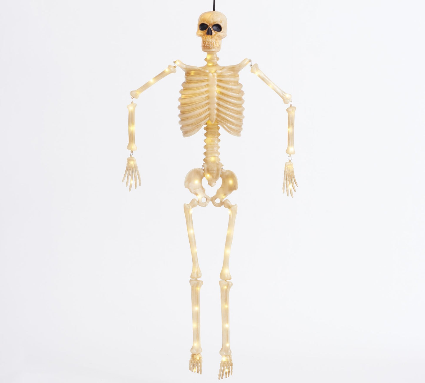 Lit Mr. Bones