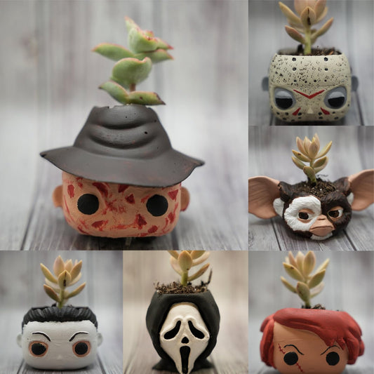 👻Funny Horror Halloween Succulents Potted Plants👻