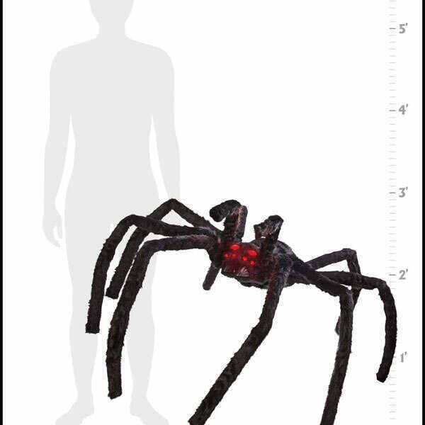 Poisonous spiders Animated