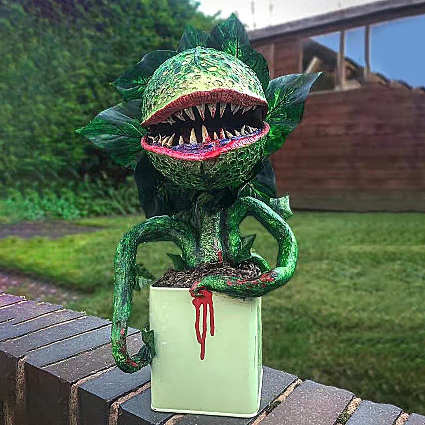 🎍Audrey plant from Little Shop of Horrors🎍