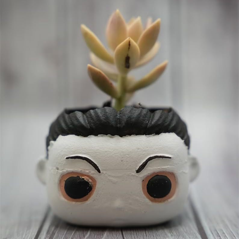 👻Funny Horror Halloween Succulents Potted Plants👻