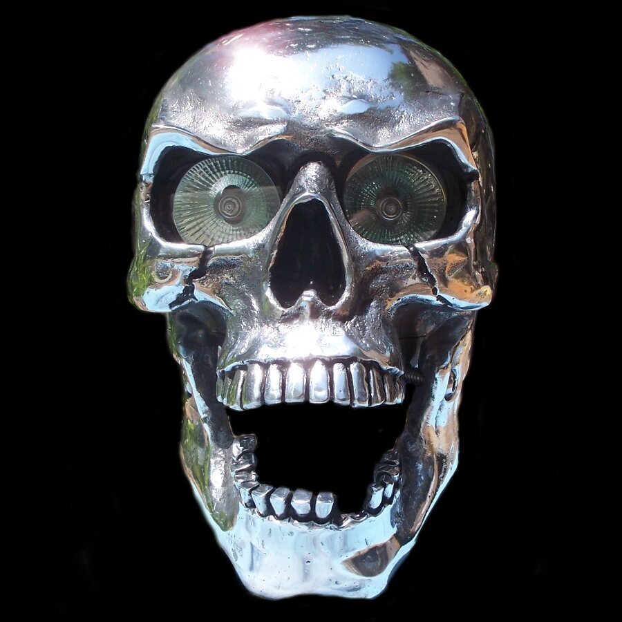 (🔥 - 50% OFF)Skull Headlight At The Real HeadLight💀💀