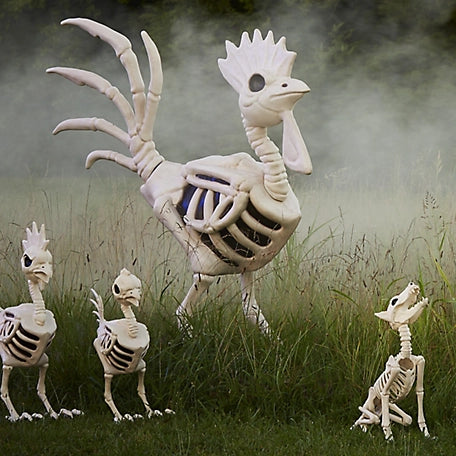 New! Red Shed 6 ft. Halloween Skeleton Rooster