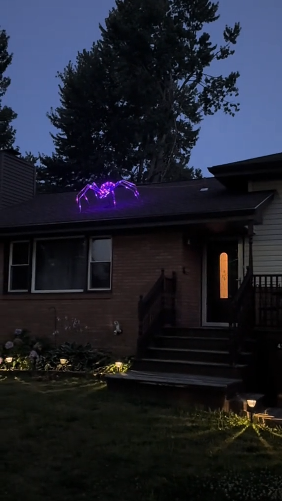 Pre-Lit Prismatic Spider