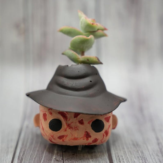 👻Funny Horror Halloween Succulents Potted Plants👻