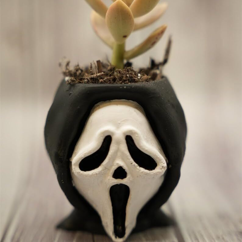 👻Funny Horror Halloween Succulents Potted Plants👻