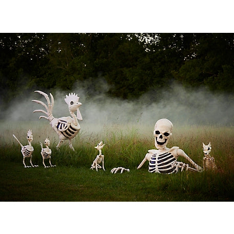 New! Red Shed 6 ft. Halloween Skeleton Rooster