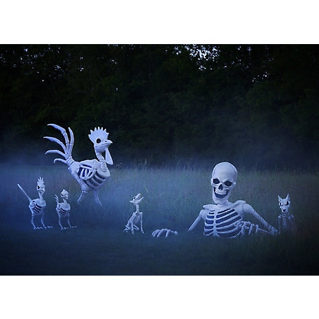 New! Red Shed 36 in. Halloween Rooster Skeleton
