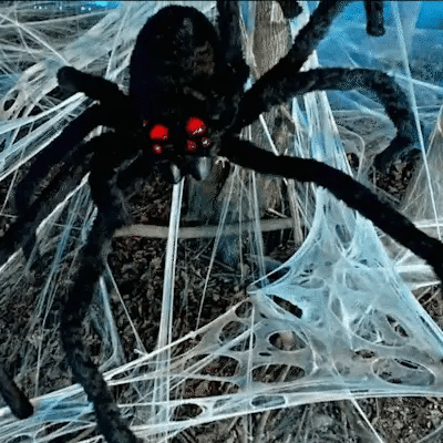 Poisonous spiders Animated