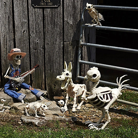 New! Red Shed 28 in. Halloween Hen Skeleton